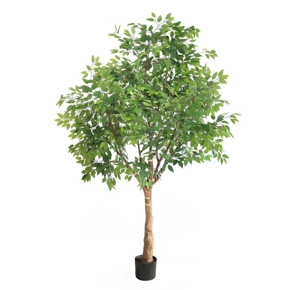Tall artificial ficus tree beside an office reception desk