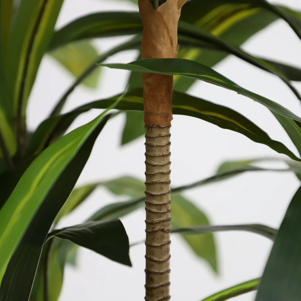 59in(4.9ft) Artificial Dracaena Faux Plant momoplant