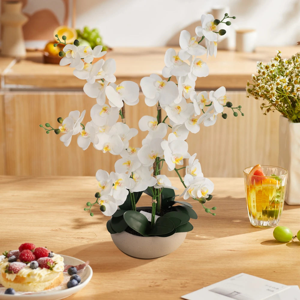 24in(2ft) Artificial White Phalaenopsis Orchid Flowers in White Planter