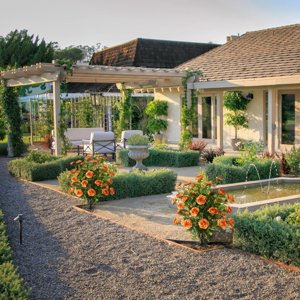 2 Pieces 36in(3ft) Artificial Flower Orange Camellia Spike Tree momoplant