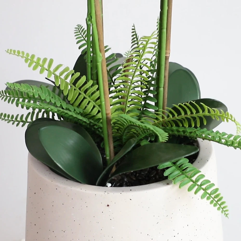 42in(3.5ft) Artificial White Phalaenopsis Orchid Flowers in White Planter momoplant