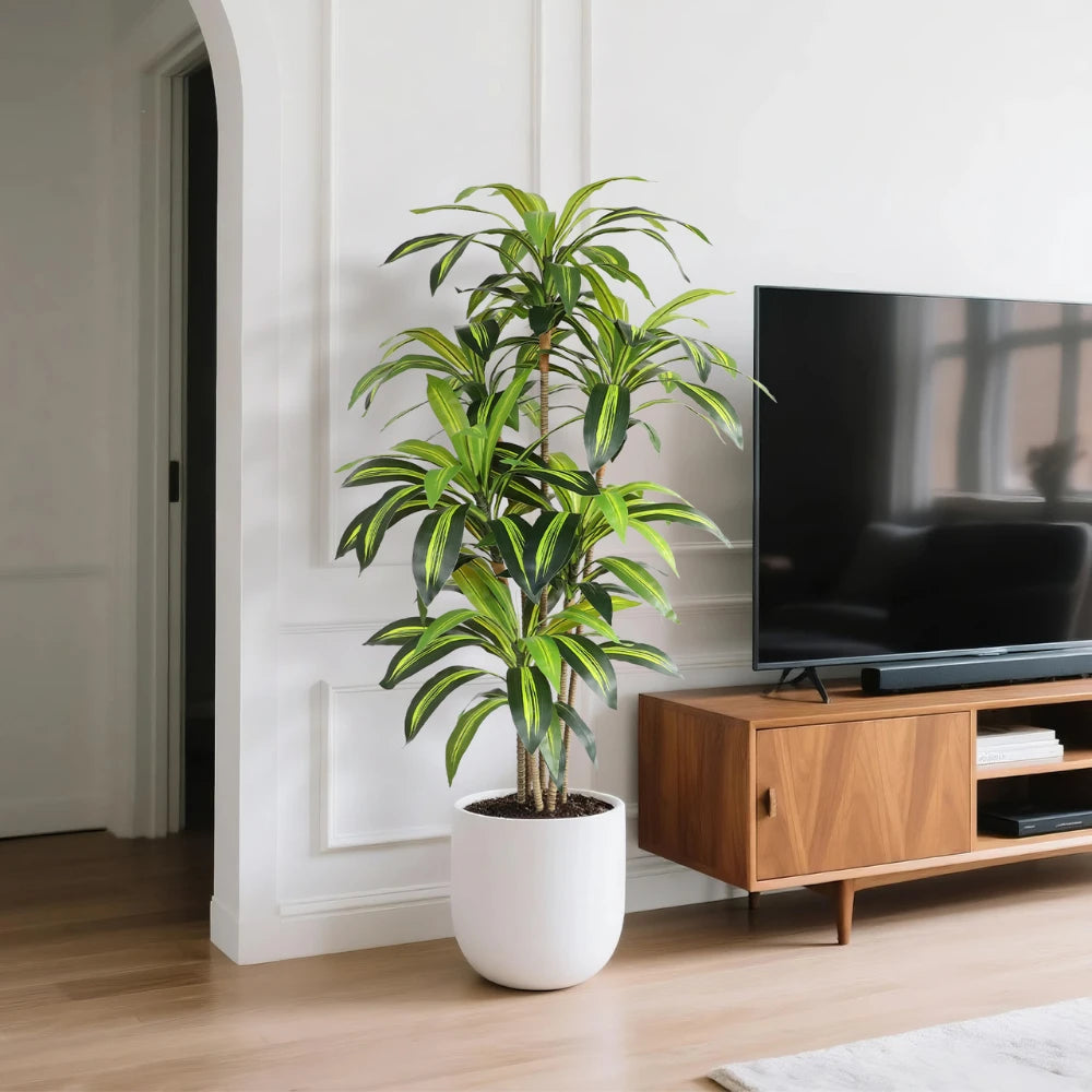 59in(4.9ft) Artificial Dracaena Faux Plant momoplant