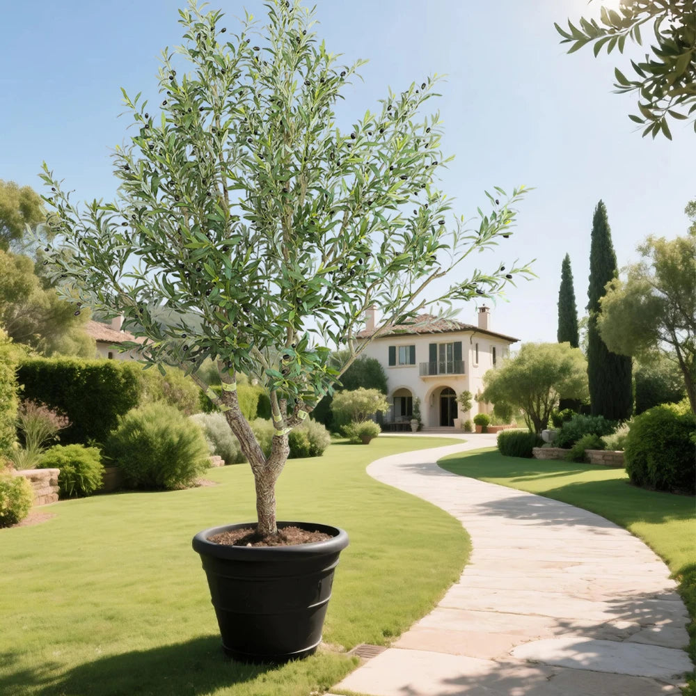 98.4in(8.2ft) Artificial Olive Faux Tree momoplant