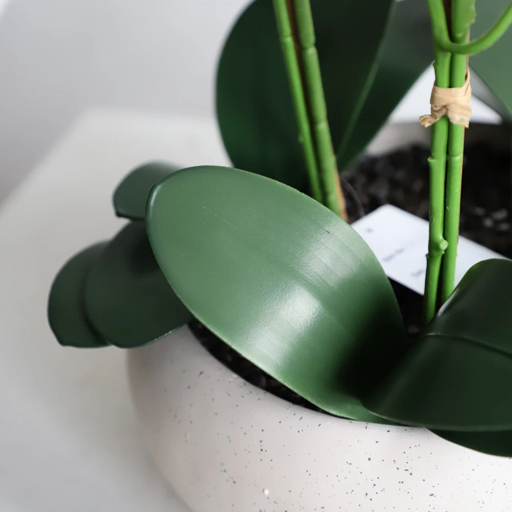24in(2ft) Artificial White Phalaenopsis Orchid Flowers in White Planter