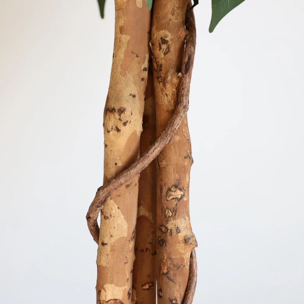 70in(6ft) Artificial Topiary Ficus Tree momoplant