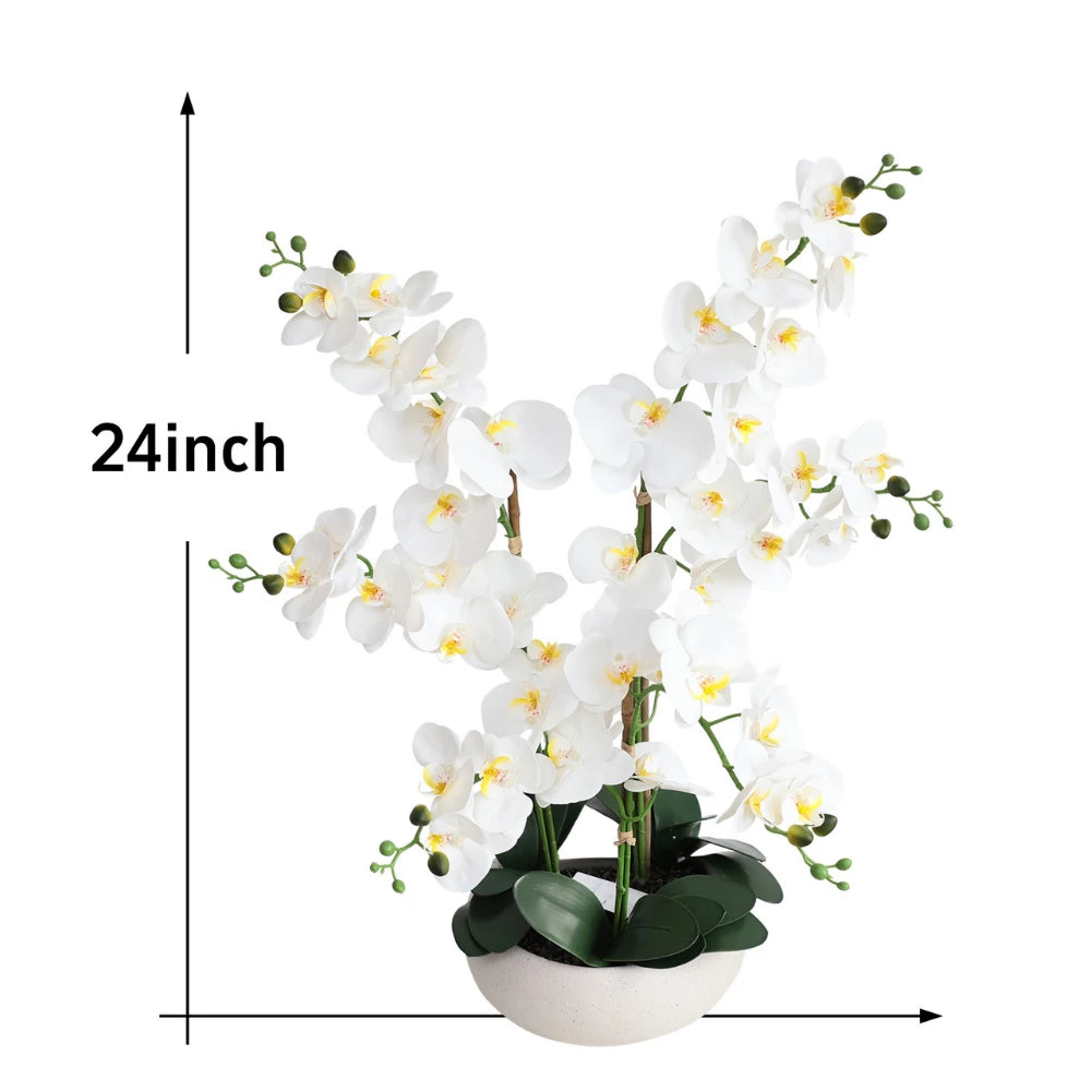 24in(2ft) Artificial White Phalaenopsis Orchid Flowers in White Planter