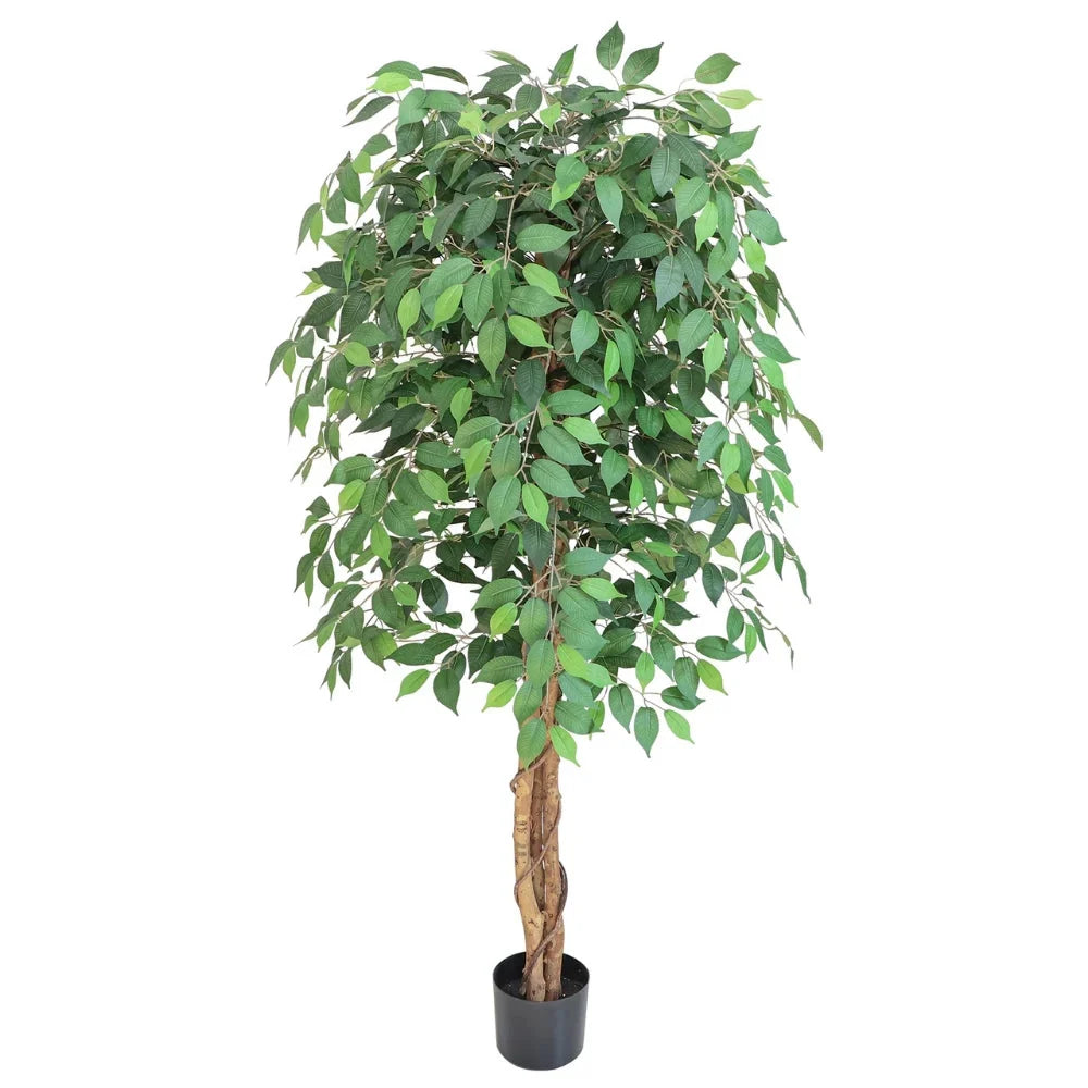 Artificial ficus tree with clean glossy leaves in a bright living room