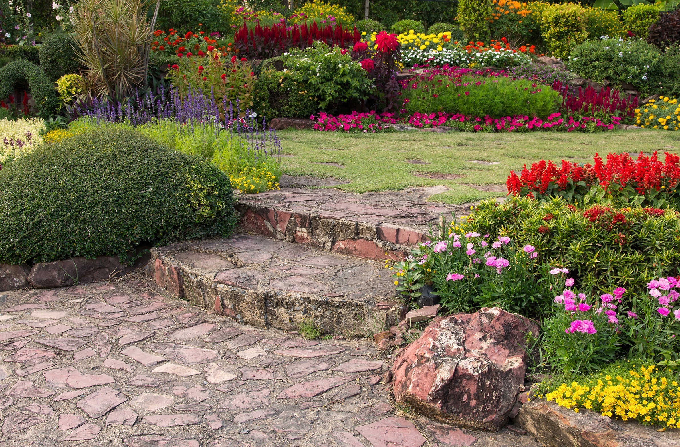 Best Artificial Garden Plants for Outdoor Decor in 2026