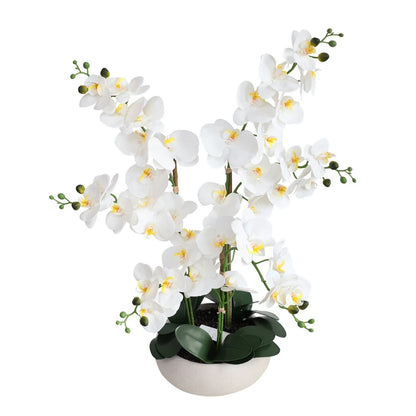 24in(2ft) Artificial White Phalaenopsis Orchid Flowers in White Planter