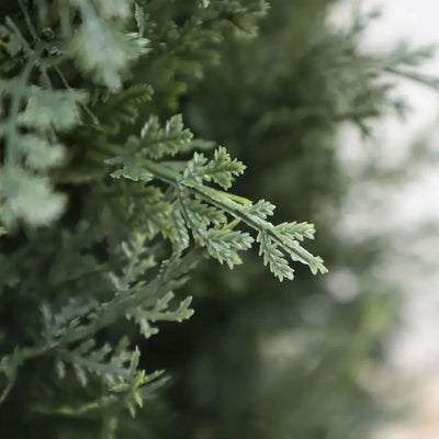 2 Pieces 49in(4ft) Artificial Topiary Cedar Trees momoplant