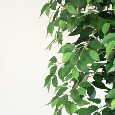 70in(6ft) Artificial Topiary Ficus Tree momoplant