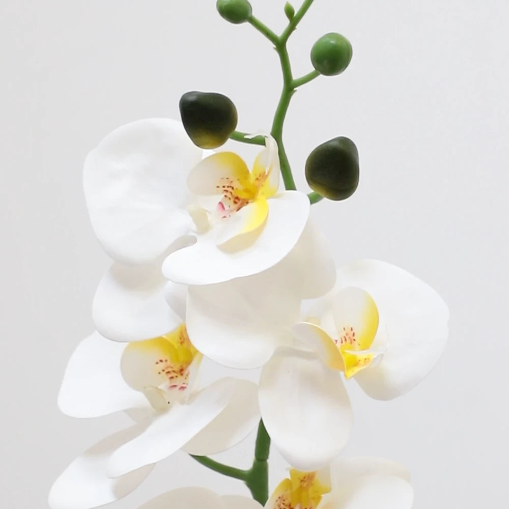 42in(3.5ft) Artificial White Phalaenopsis Orchid Flowers in White Planter