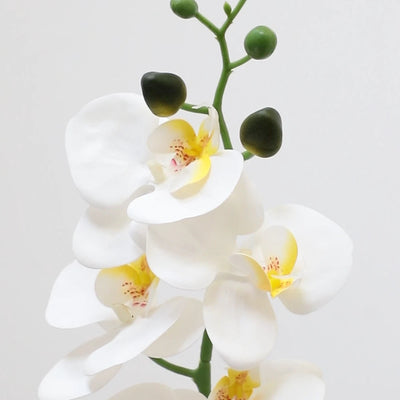 42in(3.5ft) Artificial White Phalaenopsis Orchid Flowers in White Planter momoplant