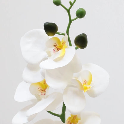 42in(3.5ft) Artificial White Phalaenopsis Orchid Flowers in White Planter