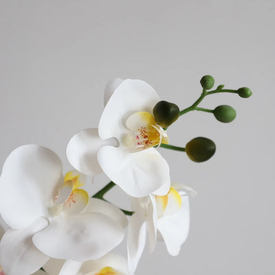 24in(2ft) Artificial White Phalaenopsis Orchid Flowers in White Planter momoplant