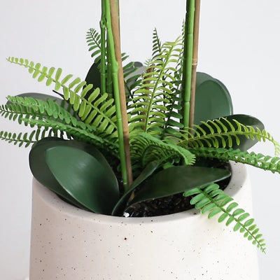 42in(3.5ft) Artificial White Phalaenopsis Orchid Flowers in White Planter momoplant