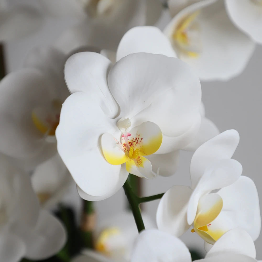 24in(2ft) Artificial White Phalaenopsis Orchid Flowers in White Planter