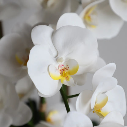 24in(2ft) Artificial White Phalaenopsis Orchid Flowers in White Planter