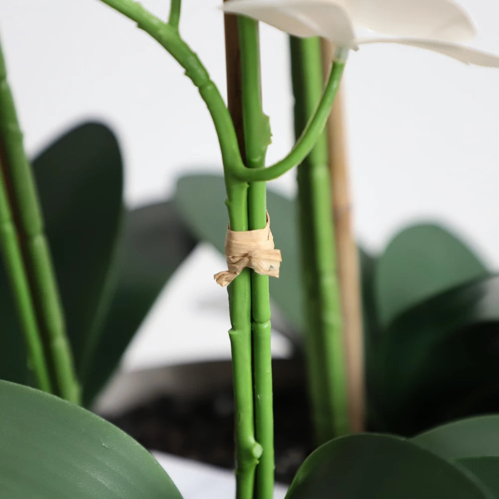 24in(2ft) Artificial White Phalaenopsis Orchid Flowers in White Planter