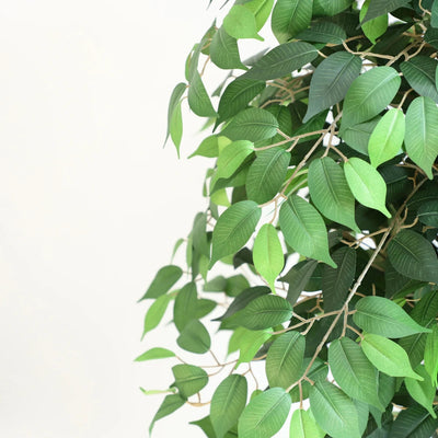 63in(5.2ft) Artificial Topiary Ficus Tree momoplant