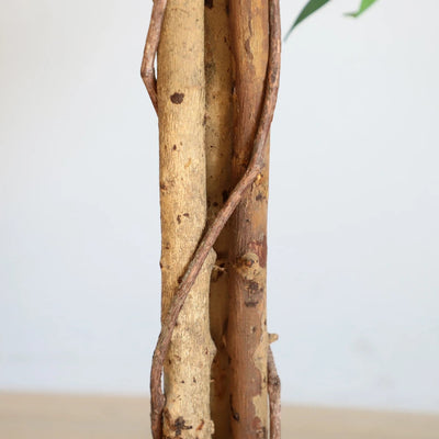 63in(5.2ft) Artificial Topiary Ficus Tree momoplant