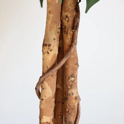 70in(6ft) Artificial Topiary Ficus Tree momoplant