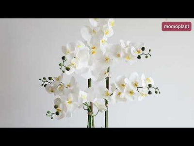42in(3.5ft) Artificial White Phalaenopsis Orchid Flowers in White Planter