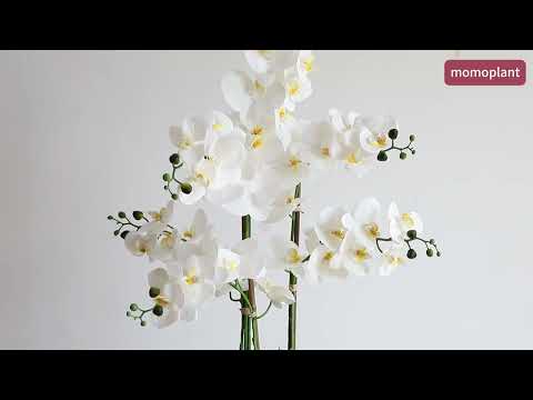 42in(3.5ft) Artificial White Phalaenopsis Orchid Flowers in White Planter