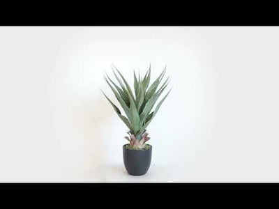 27in(2.2ft) Artificial Agave Sansevieria Snake Plant