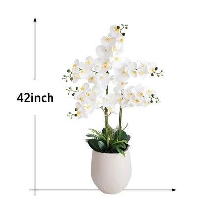 42in(3.5ft) Artificial White Phalaenopsis Orchid Flowers in White Planter